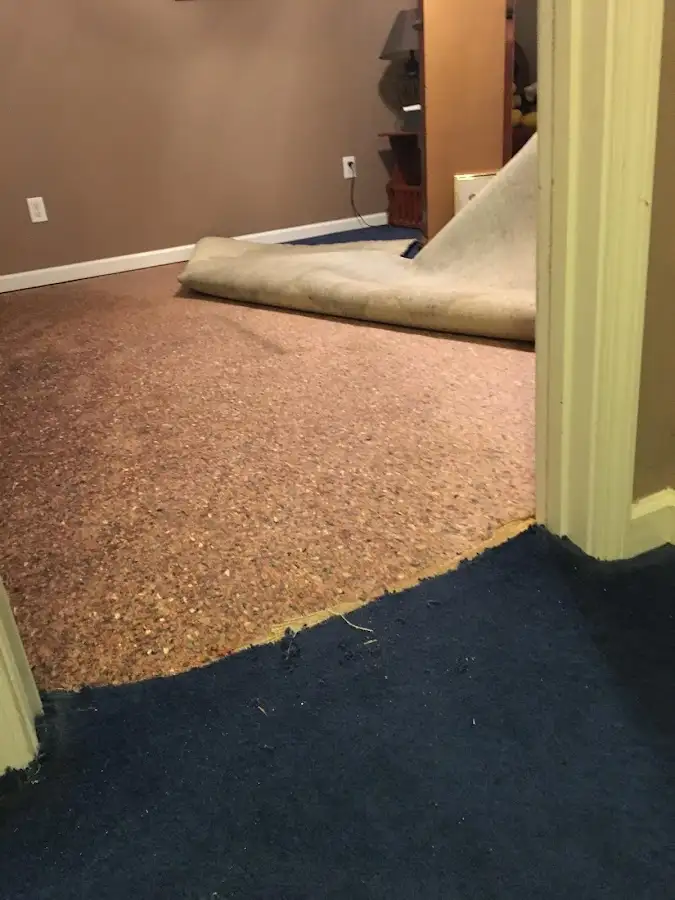 Carpet pad removal revealing water damage during Drying & Dehumidification in Lansing