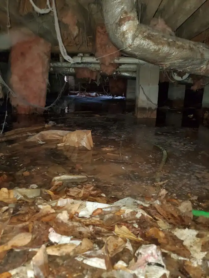 Crawl space flood assessment for Leak Detection & Repair in Lansing