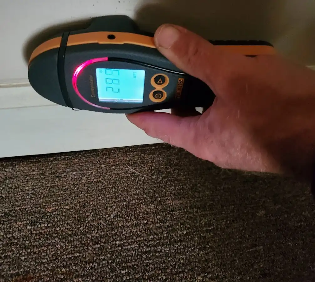 Moisture detection at baseboard during Burst Pipe Cleanup in Lansing